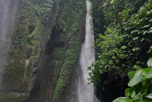Nord-Bali: Sekumpul & Fidschi Wasserfall Trekking Echte Tickets