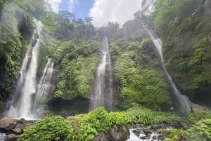 Nordbali: Sekumpul & Fiji Waterfall Trekking Rigtige billetter