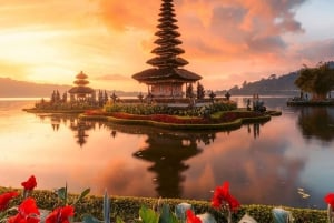 Norra Bali: Buddhistiskt tempel, Banyumala, varm källa, UlunDanu