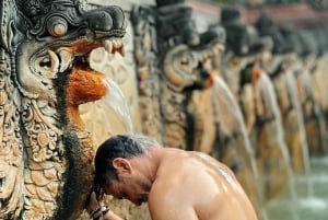 Nord de Bali : Temple bouddhiste, Banyumala, source d'eau chaude, UlunDanu