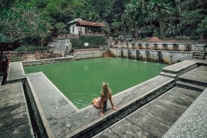 Nord de Bali : Temple bouddhiste, Banyumala, source d'eau chaude, UlunDanu