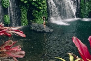 Charme do norte de Bali: Ulun Danu, Cachoeira de Banyumala, Jatiluwih