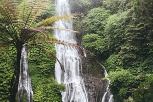 Charme do norte de Bali: Ulun Danu, Cachoeira de Banyumala, Jatiluwih