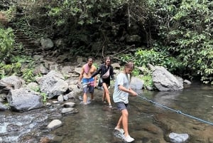 Norra Bali: Upptäck vattenfallet Sekumpul och templet Ulun Danu