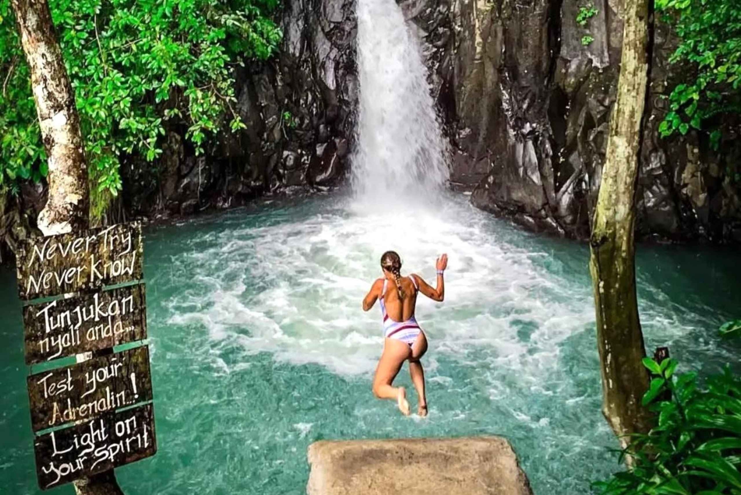 Nordbali: Delfin-Schnorcheln bei Sonnenaufgang & Wasserfall-Klippensprung