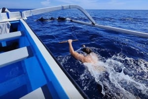 Nordbali: Delfin-Schnorcheln bei Sonnenaufgang & Wasserfall-Klippensprung