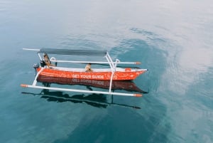 Nordbali: Delfin-Schnorcheln bei Sonnenaufgang & Wasserfall-Klippensprung