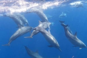 Nordbali: Delfin-Schnorcheln bei Sonnenaufgang & Wasserfall-Klippensprung