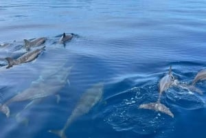 Nordbali: Delfin-Schnorcheln bei Sonnenaufgang & Wasserfall-Klippensprung