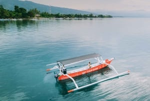 Nordbali: Delfin-Schnorcheln bei Sonnenaufgang & Wasserfall-Klippensprung
