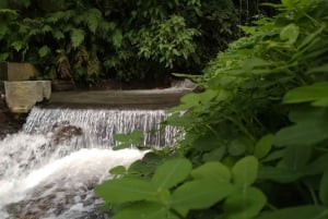 Nordbali: Delfin-Schnorcheln bei Sonnenaufgang & Wasserfall-Klippensprung