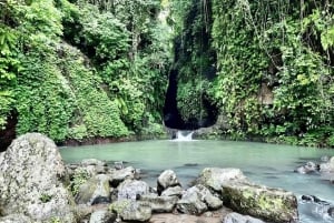 Nordbali: Delfin-Schnorcheln bei Sonnenaufgang & Wasserfall-Klippensprung