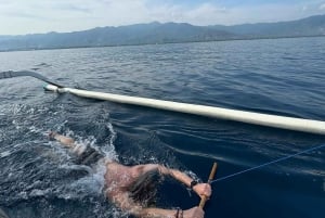 Nordbali: Delfin-Schnorcheln bei Sonnenaufgang & Wasserfall-Klippensprung