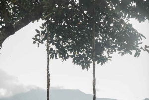 Nordbali: Delfin-Schnorcheln bei Sonnenaufgang & Wasserfall-Klippensprung