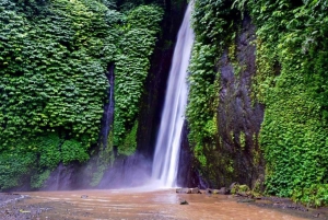 Północna Bali: odkryj wodospady Munduk podczas trekkingu