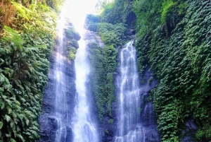 Północna Bali: odkryj wodospady Munduk podczas trekkingu