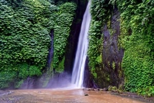 North Bali: Explore Munduk Waterfall Trekking Experience
