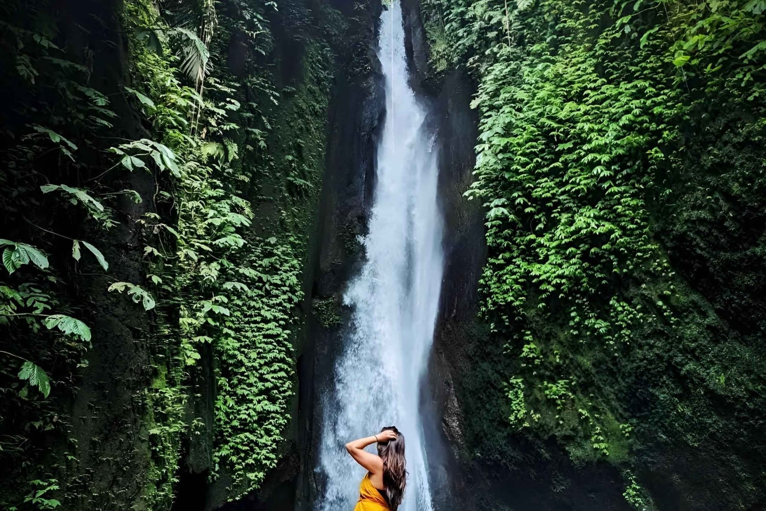 Noord-Bali: oude bomen en heilig ritueel in Bayan
