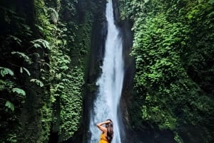Noord-Bali: oude bomen en heilig ritueel in Bayan