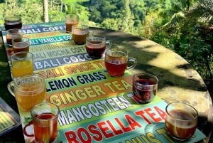 Noord-Bali: oude bomen en heilig ritueel in Bayan