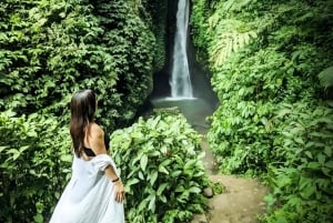 Noord-Bali: oude bomen en heilig ritueel in Bayan