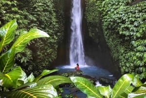 Noord-Bali: oude bomen en heilig ritueel in Bayan
