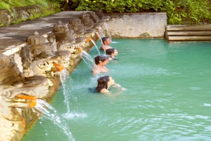 North Bali: Guided 4x4, Cycling & Hot Spring Day Trip