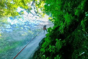 Bali: Canyoningäventyr vid Aling-vattenfallet