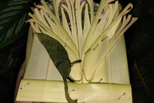 North Bali: Holy Water Purification Ritual with Temple Visit