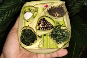 North Bali: Holy Water Purification Ritual with Temple Visit