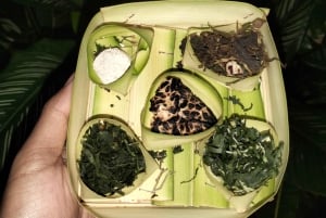 North Bali: Holy Water Purification Ritual with Temple Visit