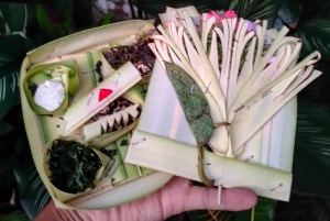 North Bali: Holy Water Purification Ritual with Temple Visit