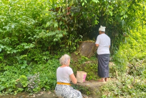North Bali: Holy Water Purification Ritual with Temple Visit