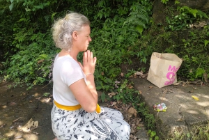 North Bali: Holy Water Purification Ritual with Temple Visit