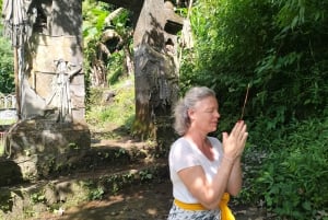 North Bali: Holy Water Purification Ritual with Temple Visit