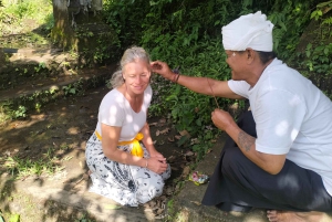 North Bali: Holy Water Purification Ritual with Temple Visit