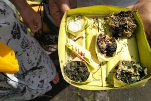North Bali: Holy Water Purification Ritual with Temple Visit