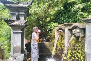 North Bali: Holy Water Purification Ritual with Temple Visit