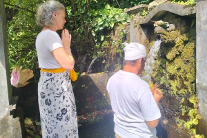 North Bali: Holy Water Purification Ritual with Temple Visit