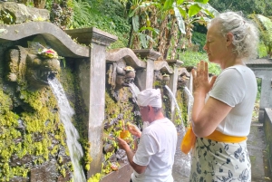 North Bali: Holy Water Purification Ritual with Temple Visit