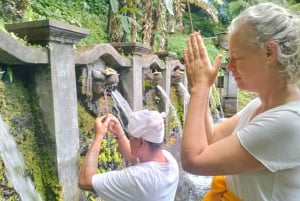 North Bali: Holy Water Purification Ritual with Temple Visit