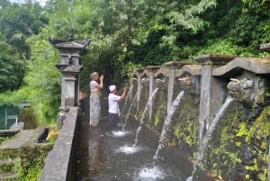 North Bali: Holy Water Purification Ritual with Temple Visit