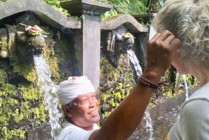 North Bali: Holy Water Purification Ritual with Temple Visit