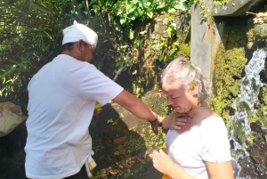 North Bali: Holy Water Purification Ritual with Temple Visit