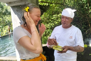 North Bali: Holy Water Purification Ritual with Temple Visit