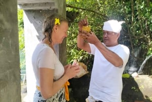 North Bali: Holy Water Purification Ritual with Temple Visit