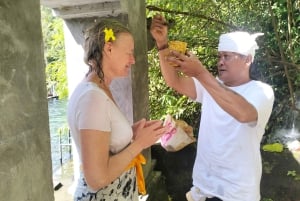 North Bali: Holy Water Purification Ritual with Temple Visit