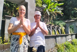 North Bali: Holy Water Purification Ritual with Temple Visit