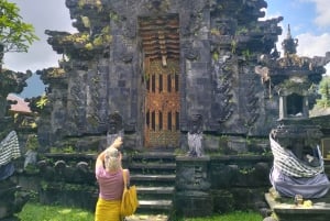 Bali: tour personalizzato dei tesori nascosti del nord