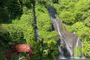 North Bali: Lake Temple, Twin Waterfall, UNESCO Rice Field